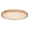 GLOBO 41745-60 RAINER