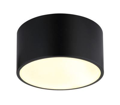 GLOBO 56964S RAYMOND