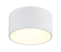 GLOBO 56964W RAYMOND