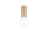 Луна за външен монтаж IDEAL LUX 233031 PETIT PL1 OTTONE SATINATO