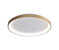 LED плафон ITALUX CLN-3151-M-GD RADEN