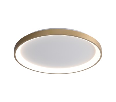 LED плафон ITALUX CLN-3151-M-GD RADEN