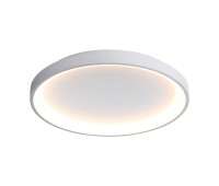 LED плафон ITALUX CLN-3151-M-WH RADEN