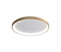 LED плафон ITALUX CLN-3151-S-GD RADEN