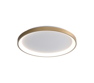 LED плафон ITALUX CLN-3151-S-GD RADEN
