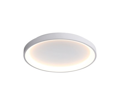 LED плафон ITALUX CLN-3151-S-WH RADEN