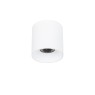 LED луна за външен монтаж ITALUX CLN-6677-95-WH-4K ALTISMA