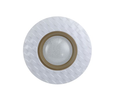 LED плафон ITALUX PLF-53647-M-CL BUMI