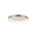 LED плафон ITALUX PLF-53675-048RC-GD-3KS4K VICO