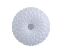LED плафон ITALUX PLF-53749-L-CL AURIS