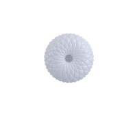 LED плафон ITALUX PLF-53749-S-CL AURIS