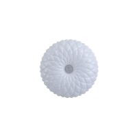 LED плафон ITALUX PLF-53749-S-CL AURIS