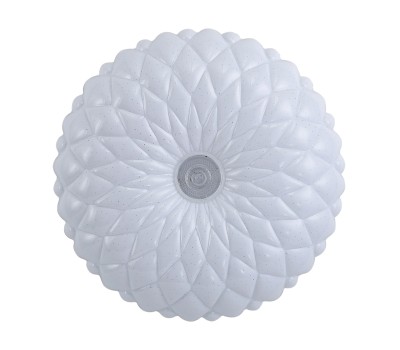 LED плафон ITALUX PLF-53749-XL-CL AURIS