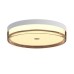 LED плафон ITALUX PLF-64536-M-WH MOLINO