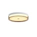 LED плафон ITALUX PLF-64536-S-WH MOLINO