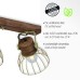 Спот JUST LIGHT 11488-60 ALAMI