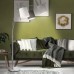 Лампион JUST LIGHT 15461-55 MELVIN