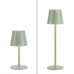 LED градинска настолна лампа JUST LIGHT 19250-43 EURIA
