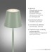 LED градински лампион JUST LIGHT 19252-43 EURIA