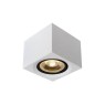 LUCIDE 09922/12/31 FEDLER