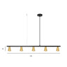 Пендел LUMA Light 100-01202-12BR-17 Black/Gold 5 x GU10