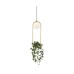 Пендел LUMA Light 100-01266-04-04 Gold 1 x G9