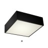 LUMA Light 100-01297-20-01 Black 25W 3000К