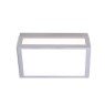 LUMA Light 100-01376-20-03 Silver 8W 3000К IP44