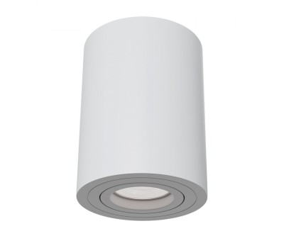 MAYTONI C016CL-01W ATOM