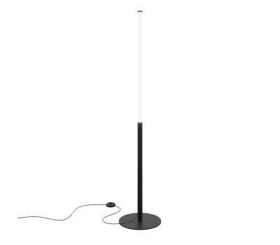 MAYTONI Z012FL-L18B3K RAY