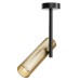 MAYTONI C020CL-01GB ELTI