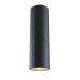 MAYTONI C027CL-L10B DAFNE