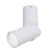 MAYTONI C027CL-L10W4K DAFNE