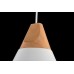Пендел MAYTONI P359-PL-01-W BICONES
