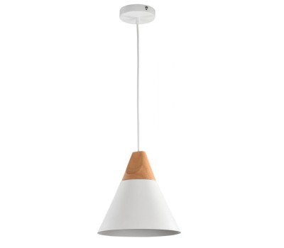 Пендел MAYTONI P359-PL-01-W BICONES
