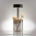 LED настолна лампа MAYTONI MOD229TL-L3B3K3 AL COLLABORATION