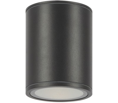 LED фасадна луна за външен монтаж MAYTONI O306CL-L12GF BAR