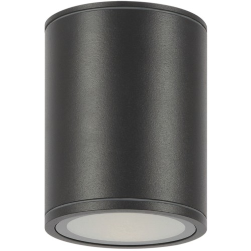 LED фасадна луна за външен монтаж MAYTONI O306CL-L12GF BAR