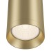 Пендел MAYTONI P020PL-01MG SHELBY