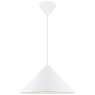 Пендел NORDLUX DFP 2120523001 NONO 49