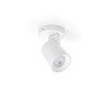 Спот NOVOLUX 1021A-G21X1A-01 TEN
