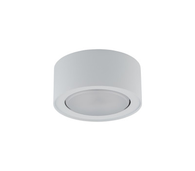 NOWODVORSKI 8202 FLEA