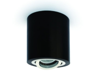 One Light 12105AB/B Black Cylinder Surface Mounting Lamp