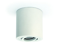 One Light 12105AB/W White Cylinder Surface Mounting Lamp