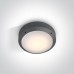 One Light 67204/AN ANTHRACITE ROUND IP54