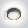 One Light 67204/AN ANTHRACITE ROUND IP54
