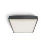 One Light 67282N/AN/W 16W 3000K IP65 SQUARE FACADE CEILING LAMP