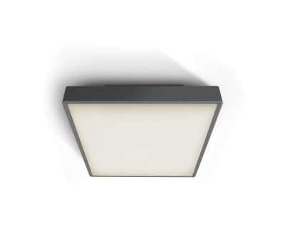 One Light 67282EA/AN ANTHRACITE IP65 SQUARE FACADE CEILING LAMP