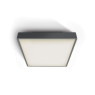 Фасаден плафон One Light 67282EA/AN ANTHRACITE IP65 SQUARE FACADE CEILING LAMP