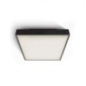 One Light 67282EA/B BLACK IP65 SQUARE FACADE CEILING LAMP